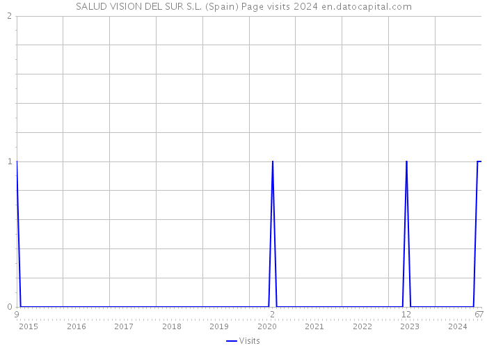 SALUD VISION DEL SUR S.L. (Spain) Page visits 2024 