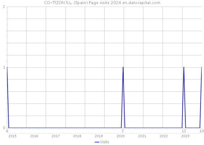 CO-TIZON S.L. (Spain) Page visits 2024 