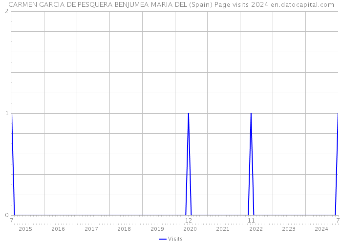 CARMEN GARCIA DE PESQUERA BENJUMEA MARIA DEL (Spain) Page visits 2024 