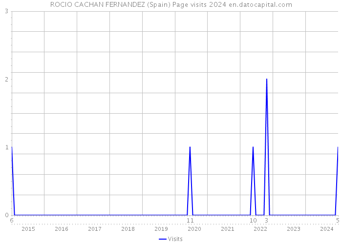 ROCIO CACHAN FERNANDEZ (Spain) Page visits 2024 