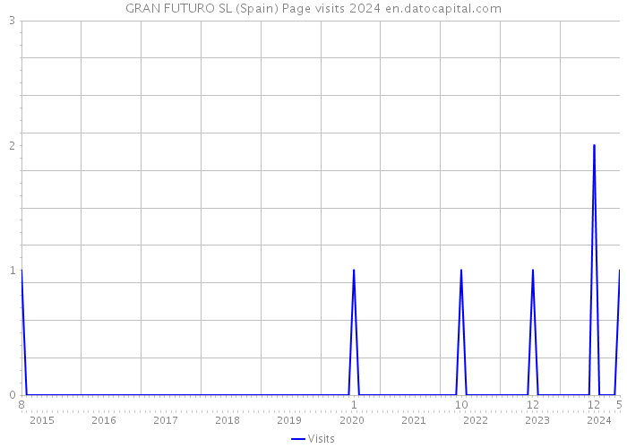 GRAN FUTURO SL (Spain) Page visits 2024 