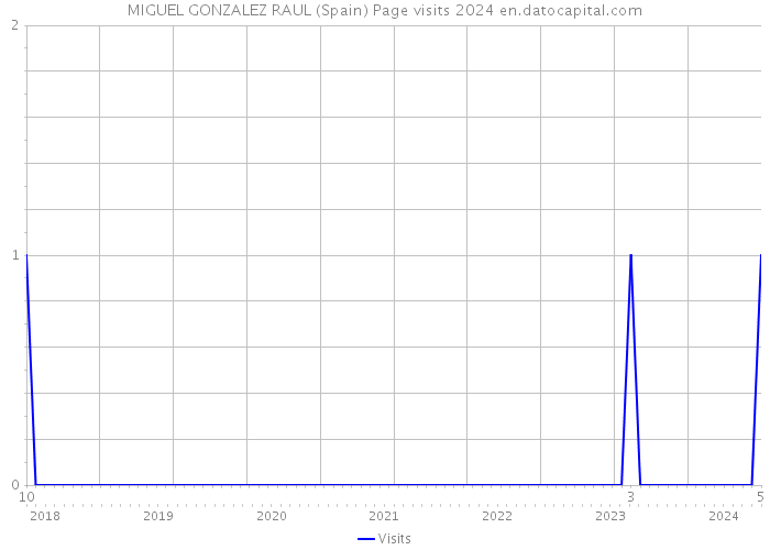 MIGUEL GONZALEZ RAUL (Spain) Page visits 2024 