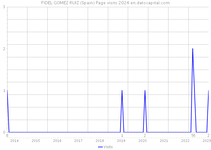 FIDEL GOMEZ RUIZ (Spain) Page visits 2024 