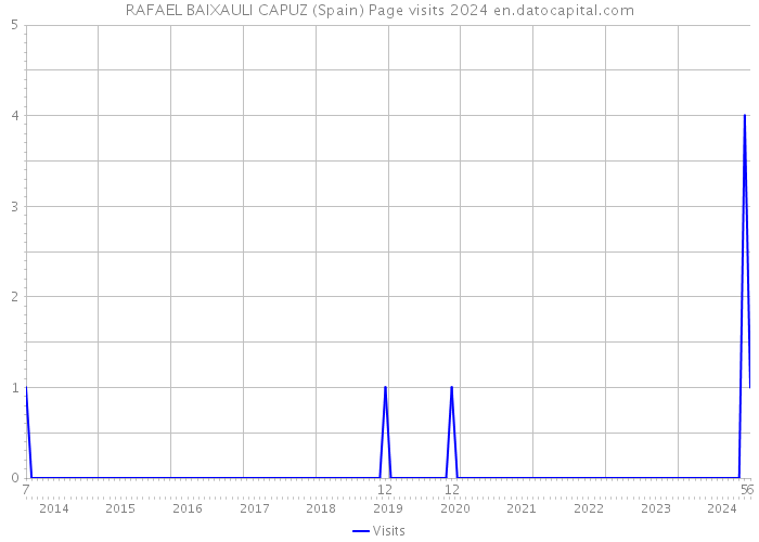 RAFAEL BAIXAULI CAPUZ (Spain) Page visits 2024 