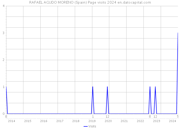 RAFAEL AGUDO MORENO (Spain) Page visits 2024 