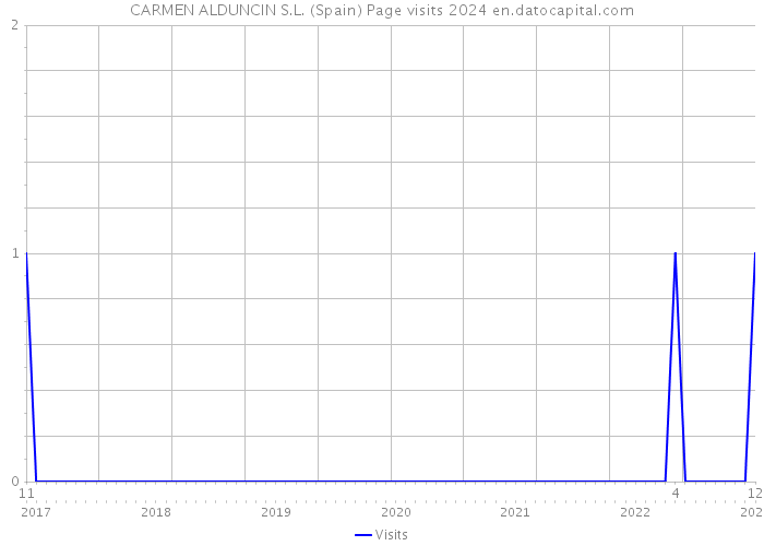 CARMEN ALDUNCIN S.L. (Spain) Page visits 2024 