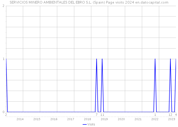 SERVICIOS MINERO AMBIENTALES DEL EBRO S.L. (Spain) Page visits 2024 