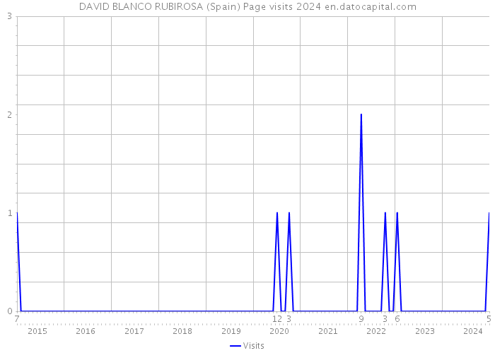 DAVID BLANCO RUBIROSA (Spain) Page visits 2024 