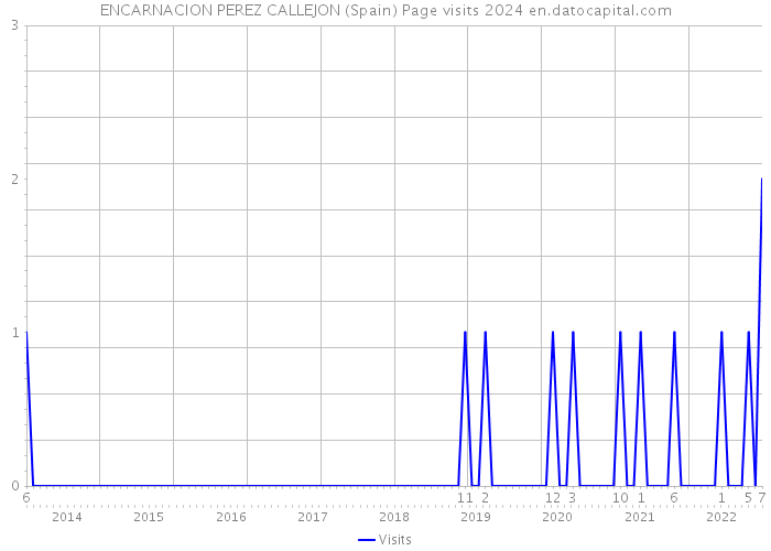 ENCARNACION PEREZ CALLEJON (Spain) Page visits 2024 