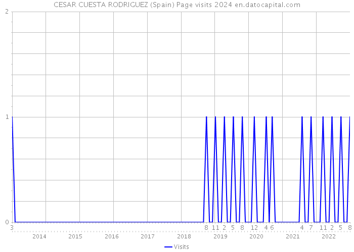 CESAR CUESTA RODRIGUEZ (Spain) Page visits 2024 