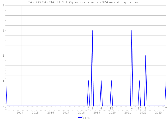 CARLOS GARCIA FUENTE (Spain) Page visits 2024 