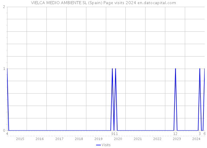 VIELCA MEDIO AMBIENTE SL (Spain) Page visits 2024 