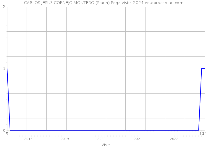 CARLOS JESUS CORNEJO MONTERO (Spain) Page visits 2024 