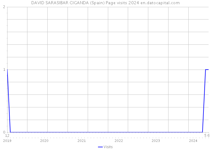 DAVID SARASIBAR CIGANDA (Spain) Page visits 2024 