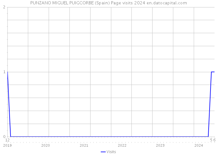PUNZANO MIGUEL PUIGCORBE (Spain) Page visits 2024 