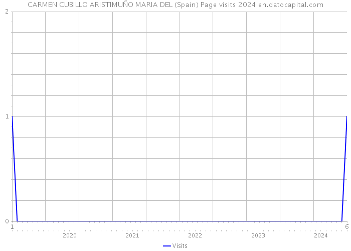 CARMEN CUBILLO ARISTIMUÑO MARIA DEL (Spain) Page visits 2024 