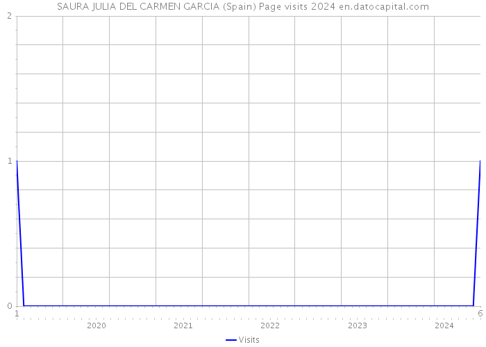 SAURA JULIA DEL CARMEN GARCIA (Spain) Page visits 2024 