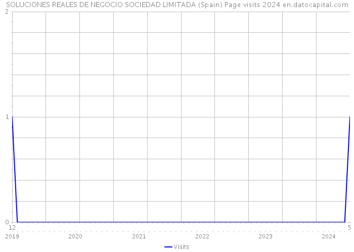 SOLUCIONES REALES DE NEGOCIO SOCIEDAD LIMITADA (Spain) Page visits 2024 