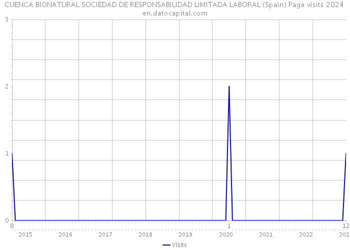 CUENCA BIONATURAL SOCIEDAD DE RESPONSABILIDAD LIMITADA LABORAL (Spain) Page visits 2024 