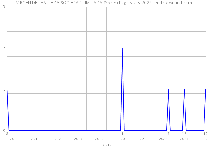 VIRGEN DEL VALLE 48 SOCIEDAD LIMITADA (Spain) Page visits 2024 