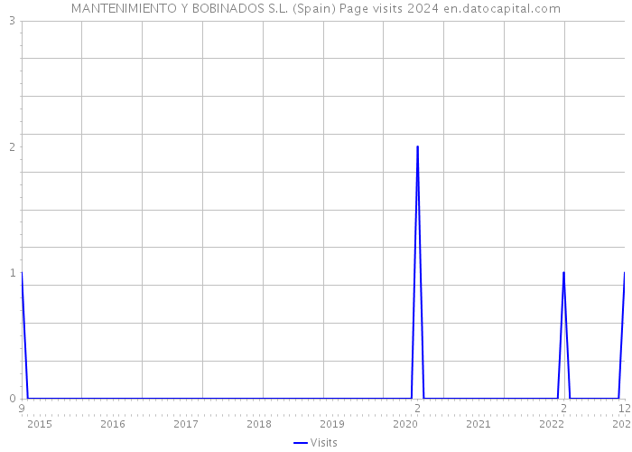 MANTENIMIENTO Y BOBINADOS S.L. (Spain) Page visits 2024 