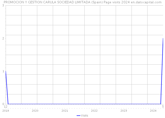 PROMOCION Y GESTION CARULA SOCIEDAD LIMITADA (Spain) Page visits 2024 