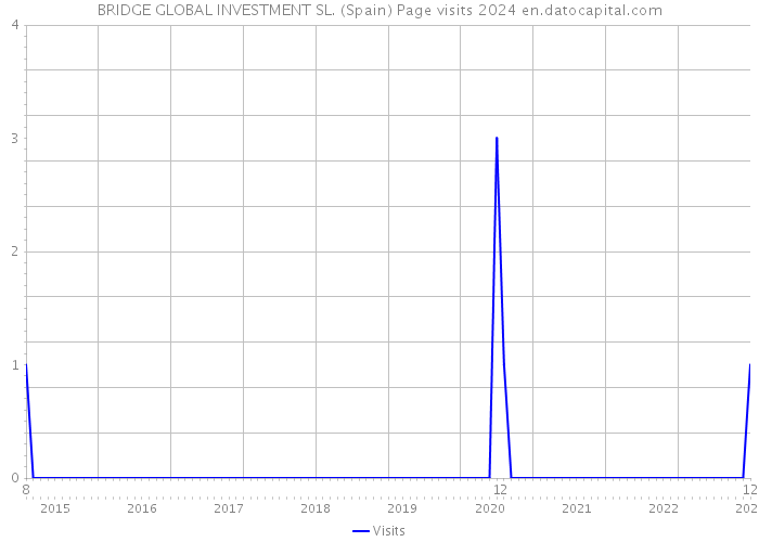 BRIDGE GLOBAL INVESTMENT SL. (Spain) Page visits 2024 