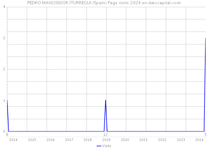 PEDRO MANCISIDOR ITURREGUI (Spain) Page visits 2024 
