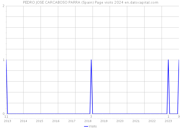 PEDRO JOSE CARCABOSO PARRA (Spain) Page visits 2024 