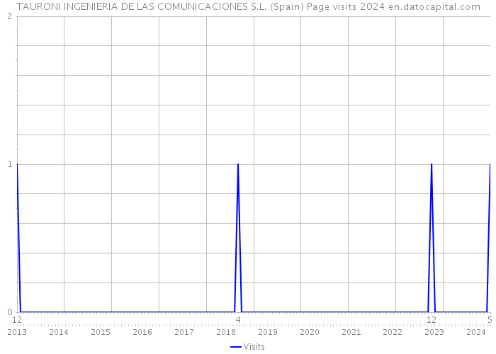 TAURONI INGENIERIA DE LAS COMUNICACIONES S.L. (Spain) Page visits 2024 