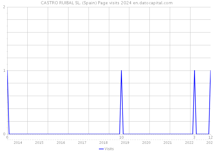 CASTRO RUIBAL SL. (Spain) Page visits 2024 