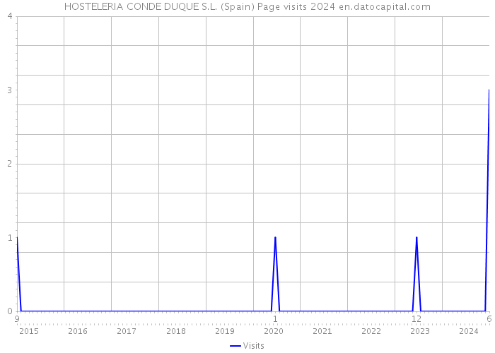 HOSTELERIA CONDE DUQUE S.L. (Spain) Page visits 2024 