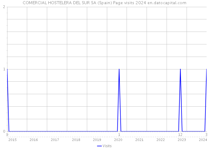 COMERCIAL HOSTELERA DEL SUR SA (Spain) Page visits 2024 