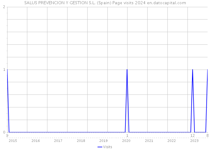 SALUS PREVENCION Y GESTION S.L. (Spain) Page visits 2024 