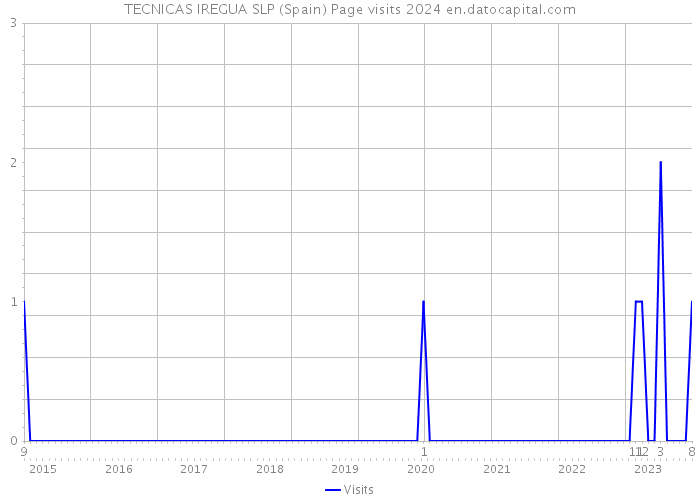 TECNICAS IREGUA SLP (Spain) Page visits 2024 
