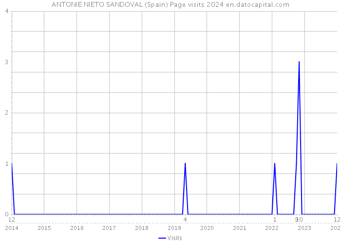 ANTONIE NIETO SANDOVAL (Spain) Page visits 2024 