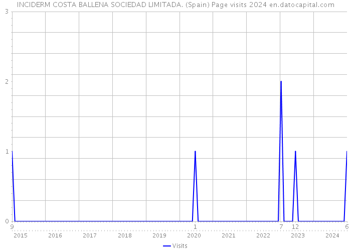 INCIDERM COSTA BALLENA SOCIEDAD LIMITADA. (Spain) Page visits 2024 