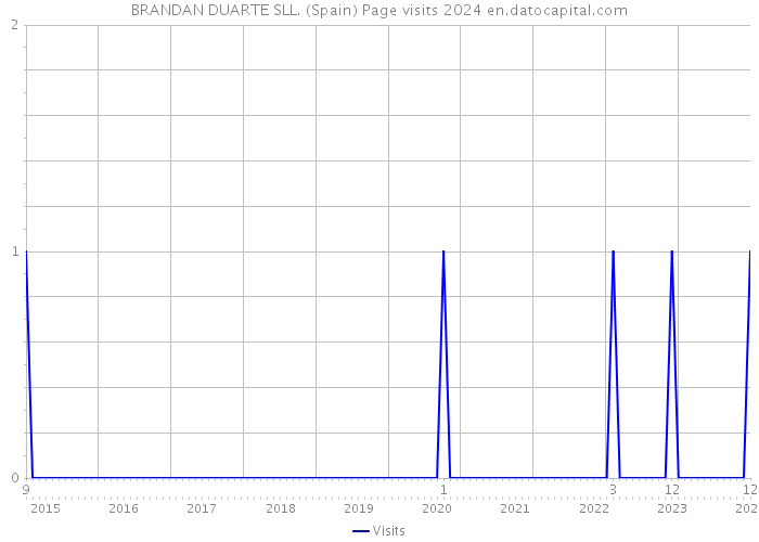 BRANDAN DUARTE SLL. (Spain) Page visits 2024 