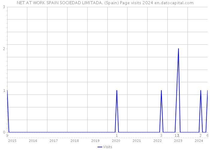 NET AT WORK SPAIN SOCIEDAD LIMITADA. (Spain) Page visits 2024 