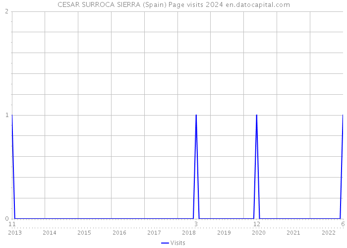 CESAR SURROCA SIERRA (Spain) Page visits 2024 