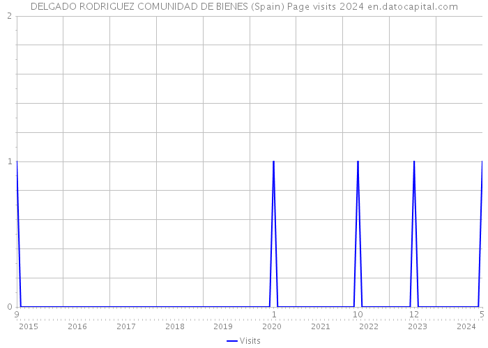 DELGADO RODRIGUEZ COMUNIDAD DE BIENES (Spain) Page visits 2024 