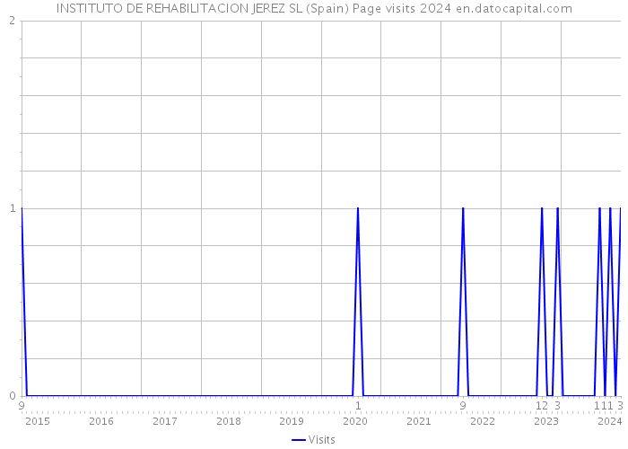 INSTITUTO DE REHABILITACION JEREZ SL (Spain) Page visits 2024 