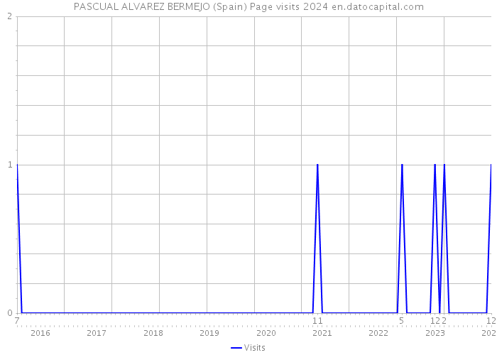 PASCUAL ALVAREZ BERMEJO (Spain) Page visits 2024 