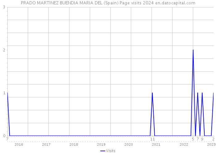 PRADO MARTINEZ BUENDIA MARIA DEL (Spain) Page visits 2024 