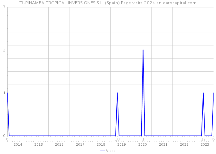 TUPINAMBA TROPICAL INVERSIONES S.L. (Spain) Page visits 2024 