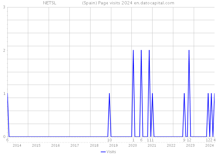 NETSL (Spain) Page visits 2024 