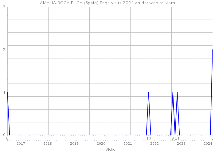 AMALIA ROCA PUGA (Spain) Page visits 2024 
