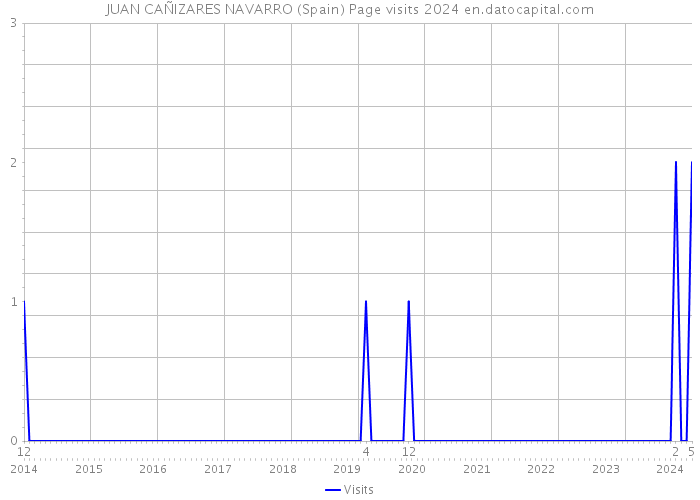 JUAN CAÑIZARES NAVARRO (Spain) Page visits 2024 