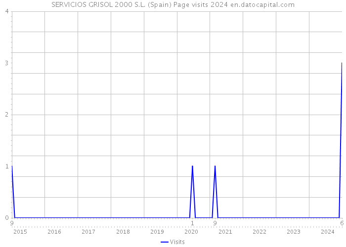 SERVICIOS GRISOL 2000 S.L. (Spain) Page visits 2024 