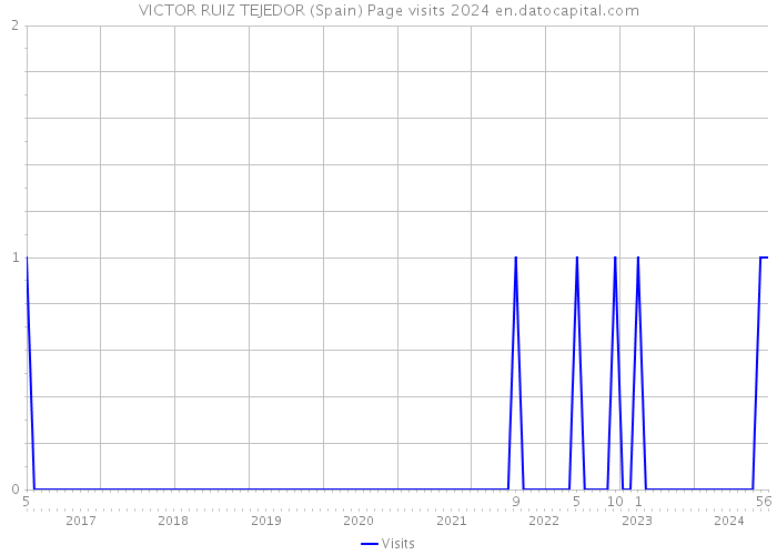 VICTOR RUIZ TEJEDOR (Spain) Page visits 2024 